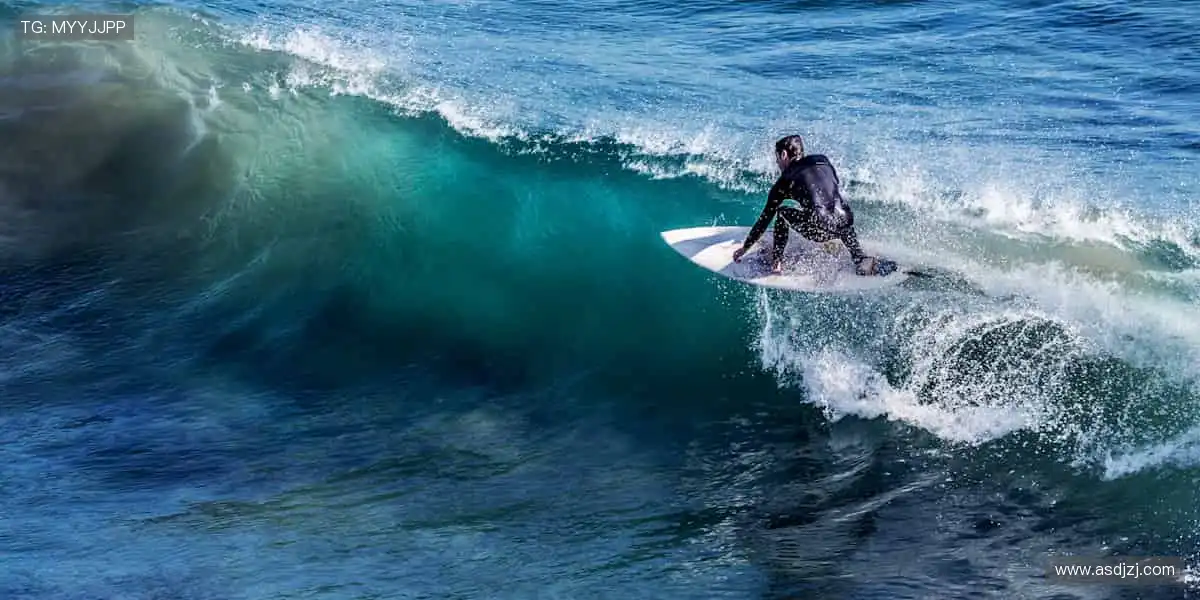 零时差直击，感受赛场魅力！🎯